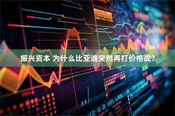 振兴资本 为什么比亚迪突然再打价格战？