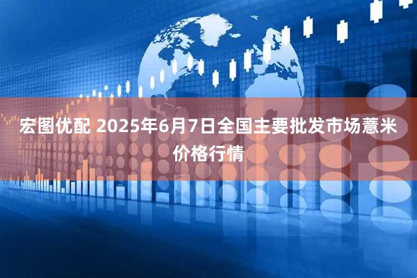 宏图优配 2025年6月7日全国主要批发市场薏米价格行情