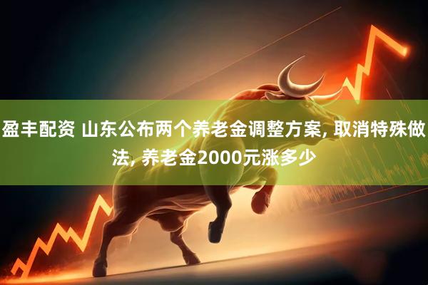 盈丰配资 山东公布两个养老金调整方案, 取消特殊做法, 养老金2000元涨多少