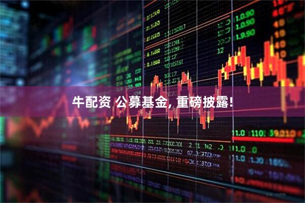 牛配资 公募基金, 重磅披露!