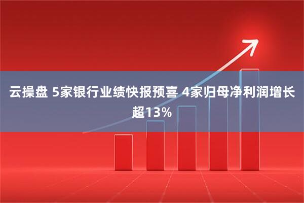 云操盘 5家银行业绩快报预喜 4家归母净利润增长超13%