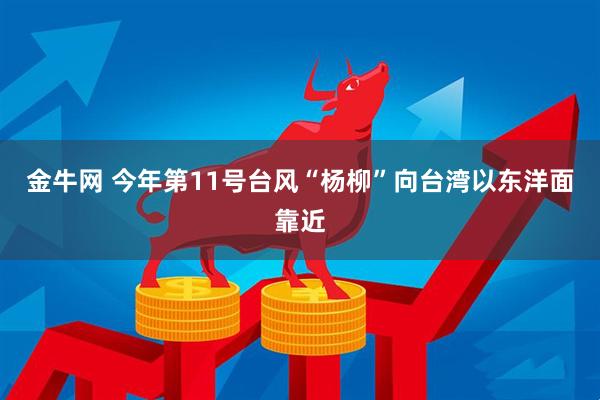 金牛网 今年第11号台风“杨柳”向台湾以东洋面靠近