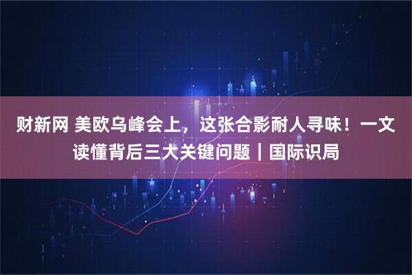 财新网 美欧乌峰会上，这张合影耐人寻味！一文读懂背后三大关键问题｜国际识局