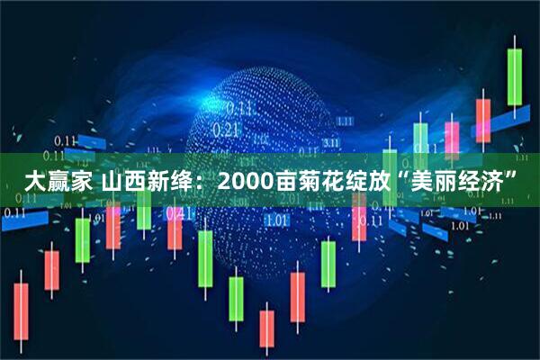 大赢家 山西新绛：2000亩菊花绽放“美丽经济”